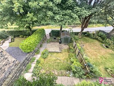 Picture 25